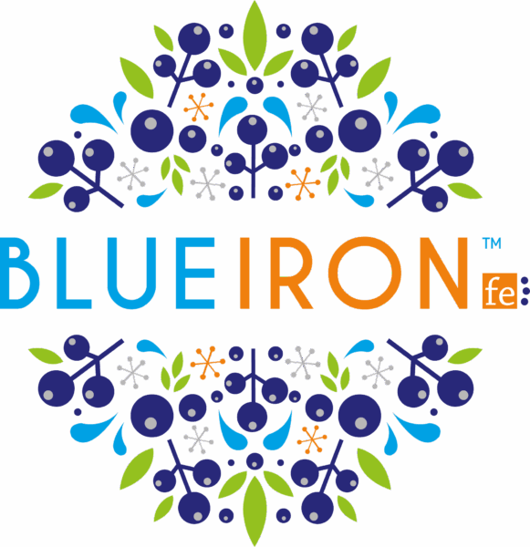 Blue-Iron-Logo-581x600 IHCAN Conferences 2022 logo